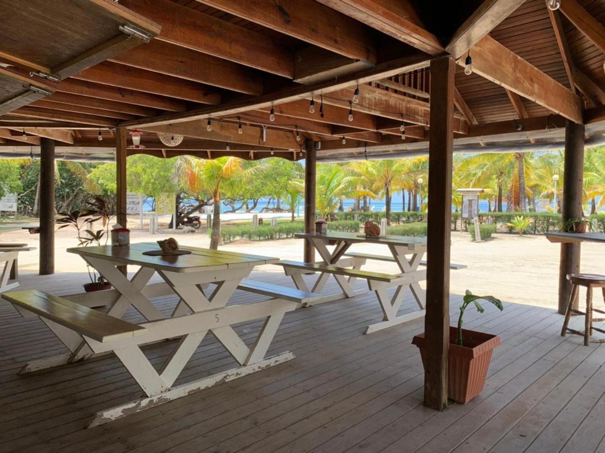 Sea Eye Hotel - Tropical Building Útila Esterno foto