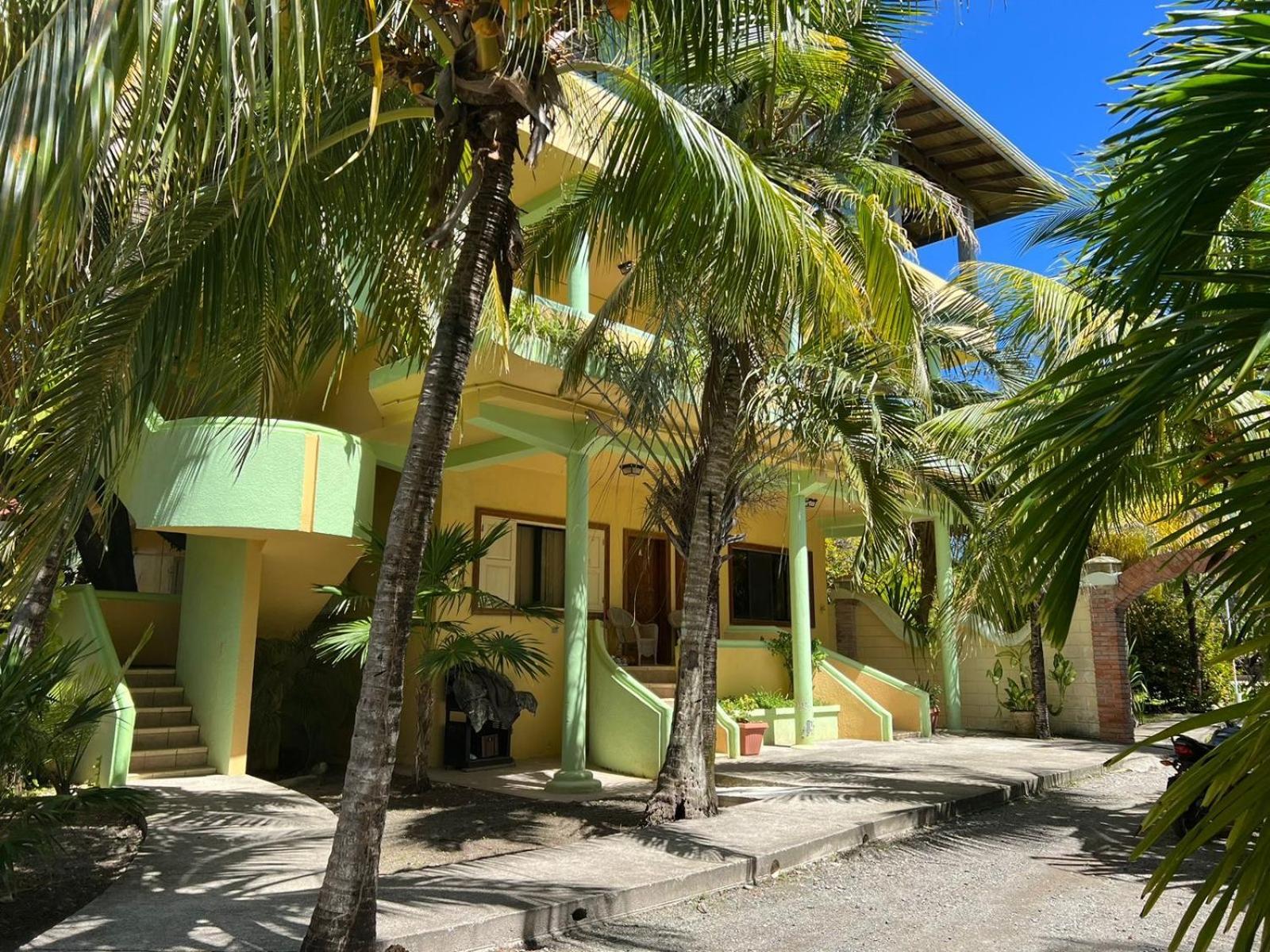 Sea Eye Hotel - Tropical Building Útila Esterno foto